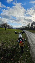 20260117_135333.jpg 20260117_135333.jpg