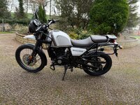 IMG_5575.jpeg