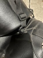 IMG_7584.jpeg