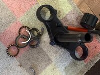 IMG_3050.jpeg