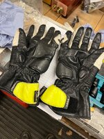 IMG_1128.jpeg
