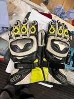 IMG_1131.jpeg