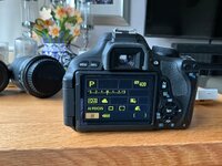 IMG_0055.jpeg