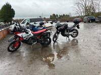 IMG_2659.jpeg IMG_2659.jpeg
