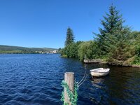 IMG_3361.jpeg IMG_3361.jpeg