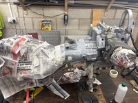 IMG_4534.jpeg