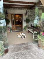 IMG_7410.jpeg IMG_7410.jpeg