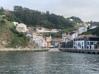 IMG_8064.jpeg IMG_8064.jpeg