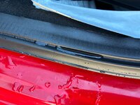 IMG_1947.jpeg