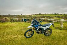 IMG_1429.jpg