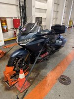 IMG_1613.jpeg IMG_1613.jpeg