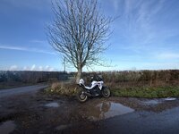 IMG_1638.jpeg IMG_1638.jpeg