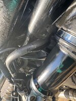 IMG_6735.jpeg
