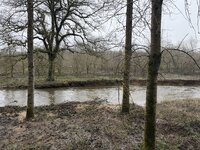 IMG_1702.jpeg