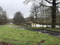 IMG_1704.jpeg