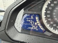 IMG_1698.jpeg
