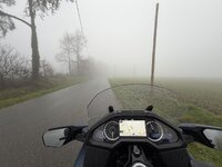 IMG_1699.jpeg