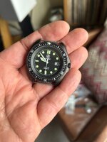 IMG_5299.jpeg