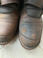 IMG_3183.jpeg