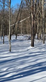 IMG_2889.jpeg
