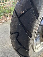 IMG_3837.jpeg IMG_3837.jpeg