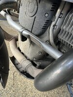 IMG_3835.jpeg IMG_3835.jpeg