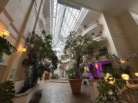 IMG_8971.jpeg