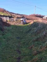 20260201_105336.jpg