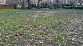 IMG_7472.jpeg
