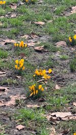 IMG_7473.jpeg