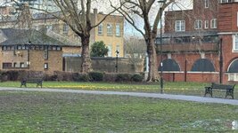 IMG_7474.jpeg