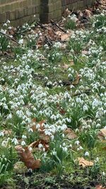 IMG_7476.jpeg