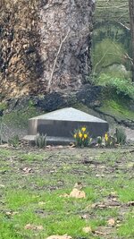 IMG_7477.jpeg