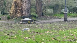 IMG_7478.jpeg