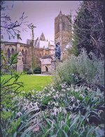 IMG_7183.jpeg