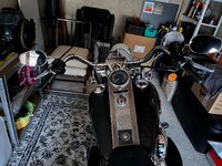 IMG_5728.jpeg