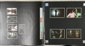 IMG_7381.jpeg