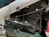 IMG_4212.jpeg