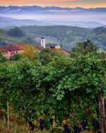 IMG_20210926_161939_082.jpg