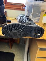 IMG_3981.jpeg IMG_3981.jpeg