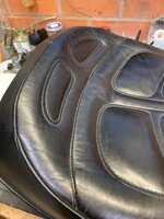 IMG_4282.jpeg