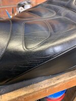 IMG_4284.jpeg