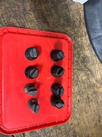 IMG_6960.jpeg