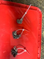 IMG_6962.jpeg