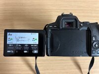 IMG_2052.jpeg