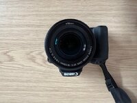 IMG_2055.jpeg