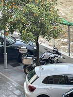 IMG_4990.jpeg