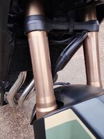 IMG_20260210_115836762_HDR.jpg