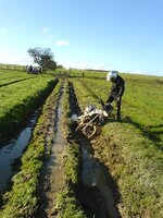 ruts (Small).JPG