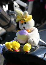 Wirral Egg Run 090 copy.jpg